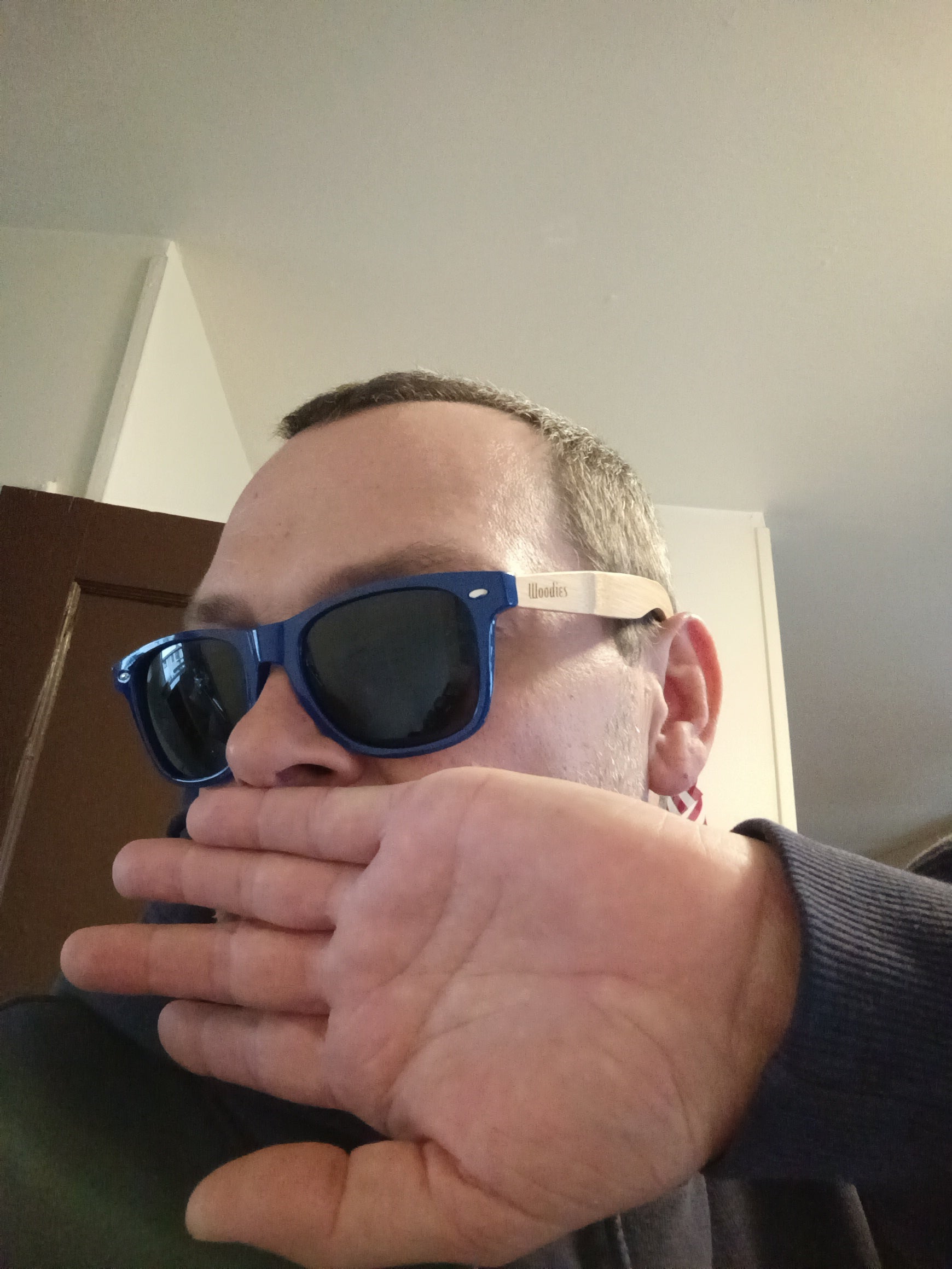 eco-friendly" or "wood-arm" wayfarer.