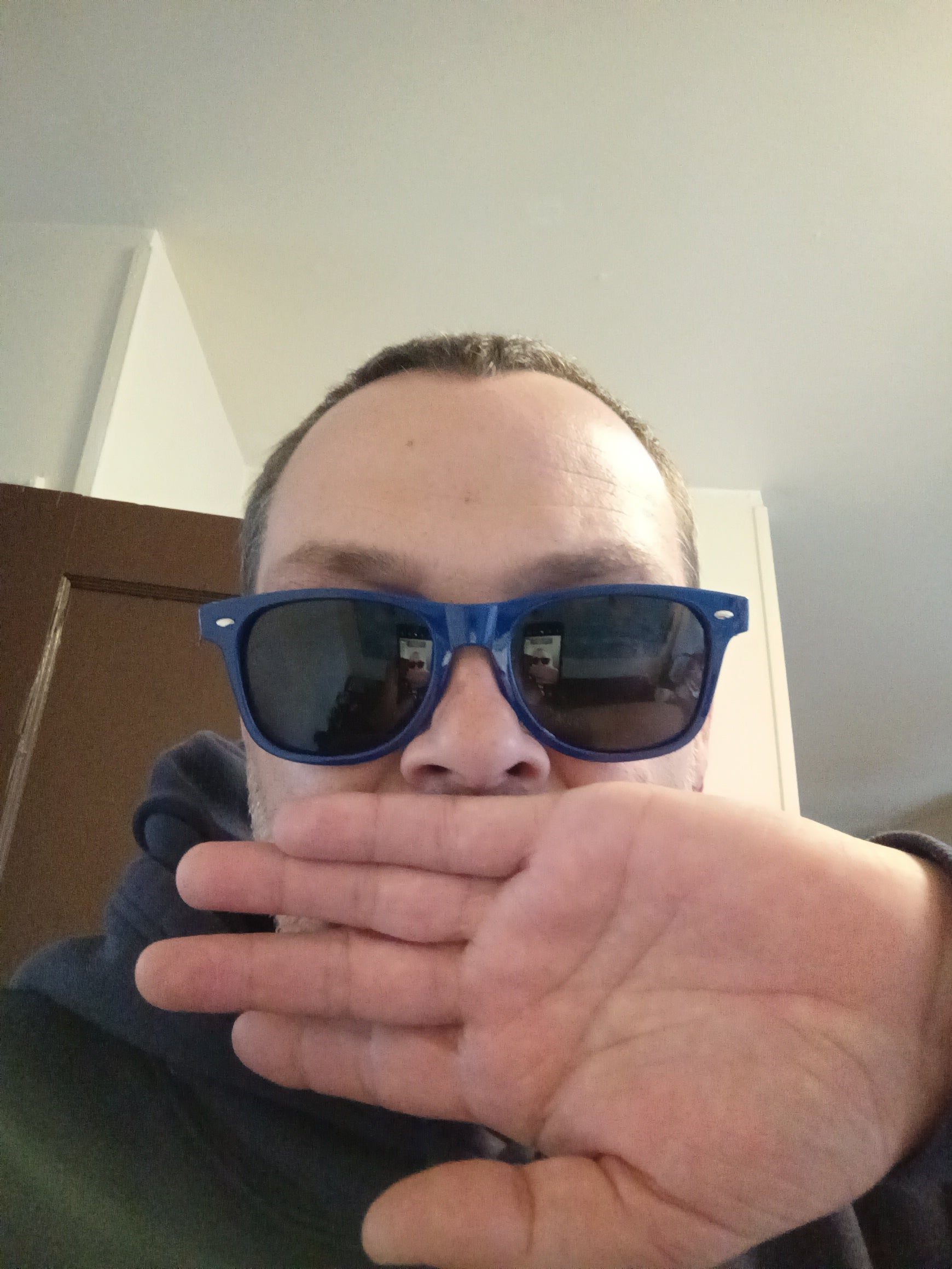 eco-friendly" or "wood-arm" wayfarer.